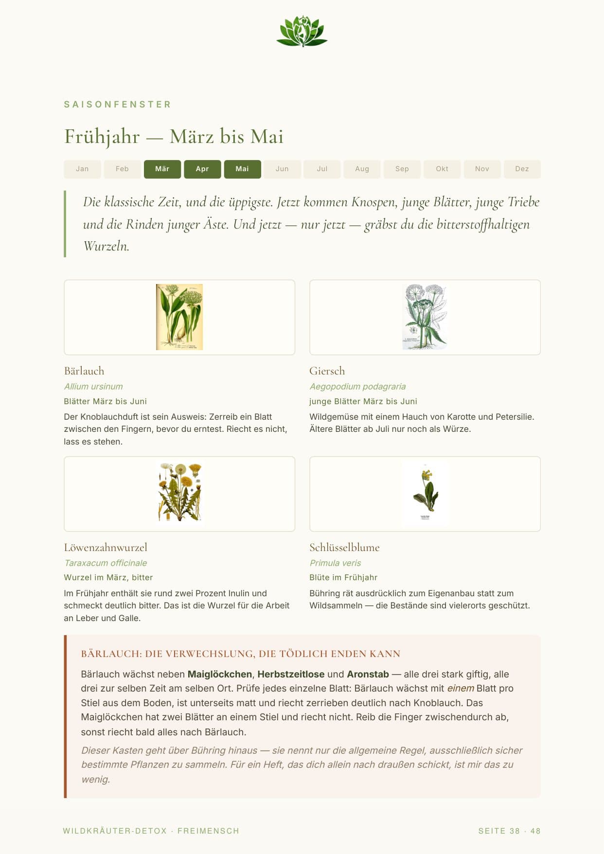 Musterseite: das Saisonfenster Frühjahr mit Sammelkalender