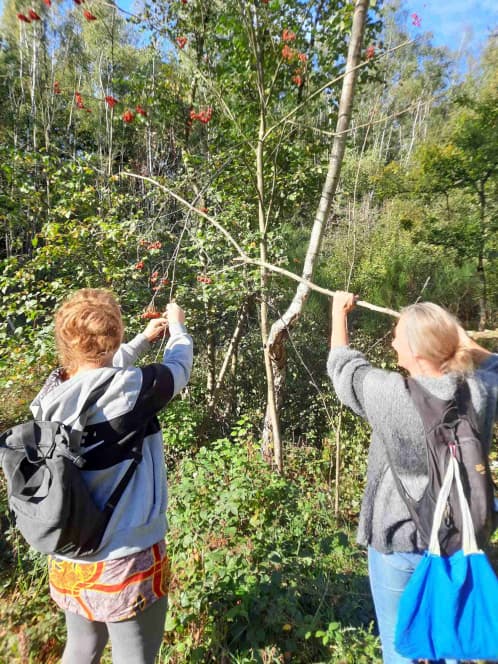 Zwei Frauen sammeln Beeren von einem Baum